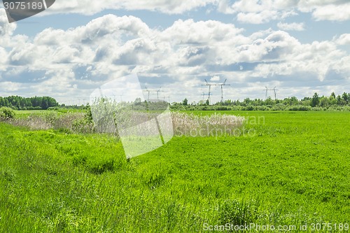 Image of summer landscape