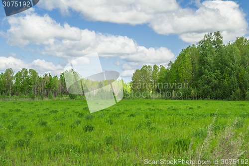 Image of summer landscape