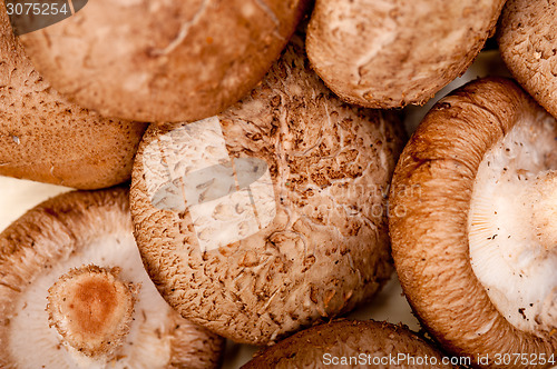 Image of shiitake mushrooms