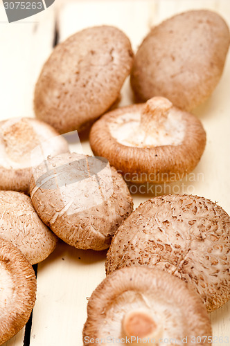 Image of shiitake mushrooms