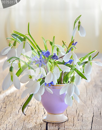 Image of snowdrops in vase on old wood