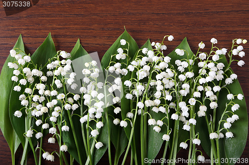 Image of Lily of the valley.