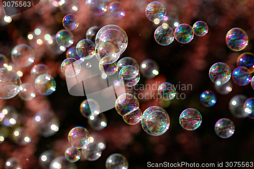 Image of Soap bubbles