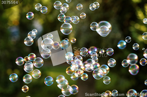 Image of Soap bubbles