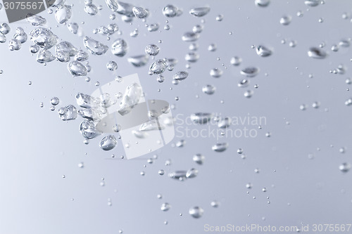 Image of Water bubbles