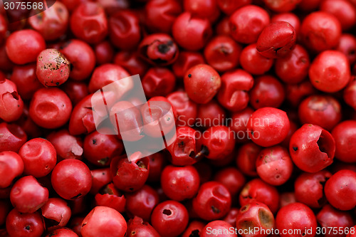 Image of Pink Pepper