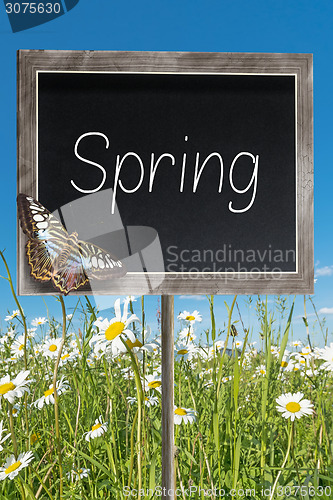 Image of Chalkboard with text Spring