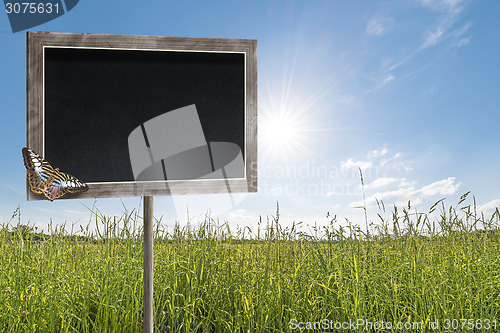 Image of Chalkboard with butterfly