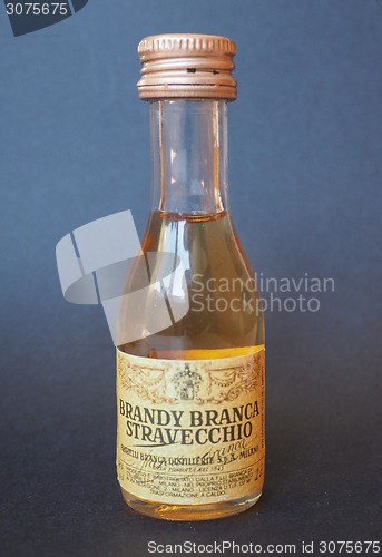 Image of Branca Brandy