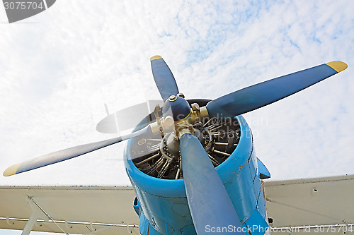 Image of The engine and propeller plane AN2.