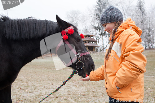 Image of Young girl feeding a horse