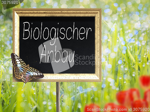 Image of Chalkboard with german text Biologischer Anbau