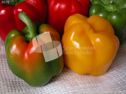 Image of Capsicum