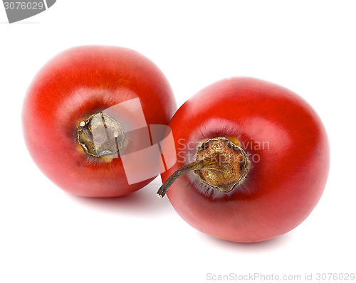 Image of Tamarillo Fruits