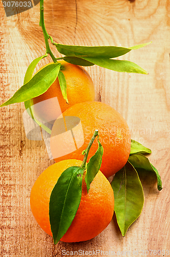 Image of Tangerines