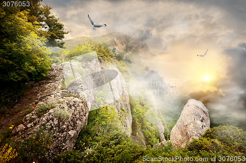 Image of Fog in mountains