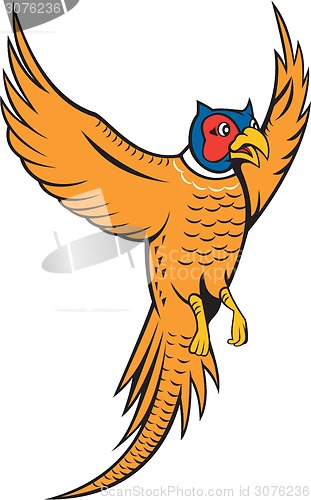 Image of Pheasant Bird Fowl Flying Cartoon