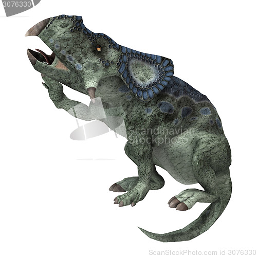 Image of Dinosaur Protoceratops