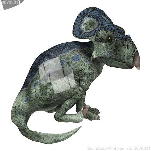 Image of Dinosaur Protoceratops