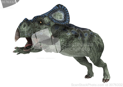 Image of Dinosaur Protoceratops