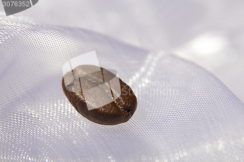 Image of Coffee Bean