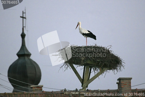 Image of White stork in nest above roof
