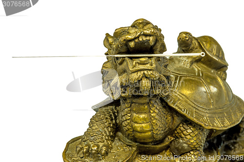 Image of Acupuncture needle with chinese turtle figure
