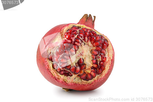 Image of Pomegranate