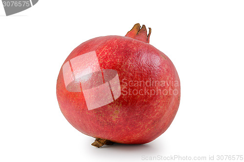 Image of Pomegranate