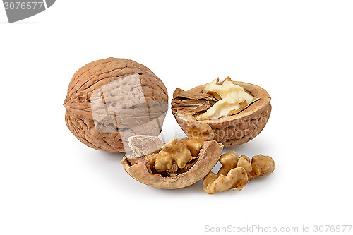 Image of Two walnuts