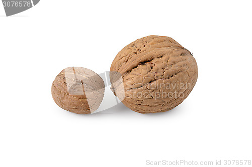 Image of Two walnuts