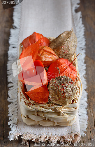 Image of red Physalis fruits