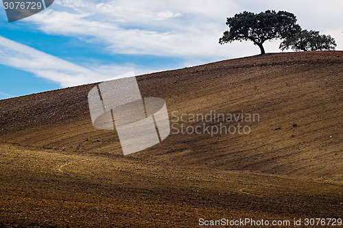 Image of Farm Field