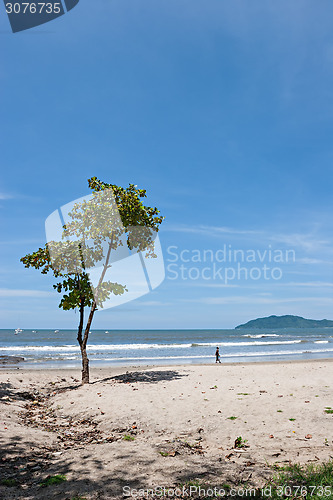 Image of Tropical Beach