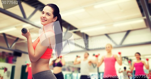 Image of young sporty woman with light dumbbells