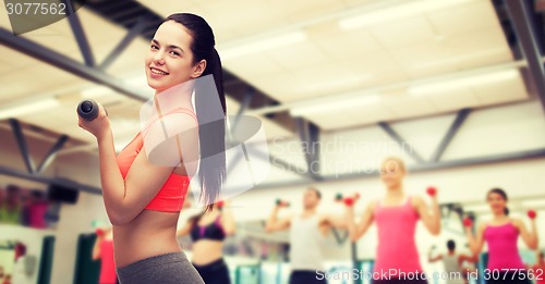 Image of young sporty woman with light dumbbells