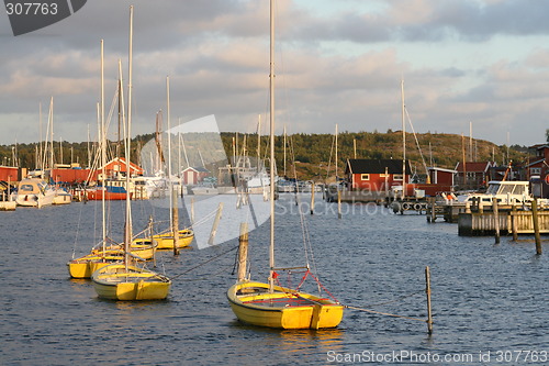 Image of Five Boats in the Harbour