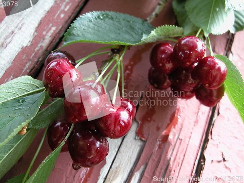 Image of cherry