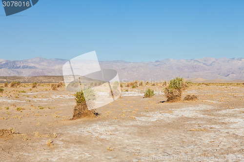 Image of Death Valley Desert
