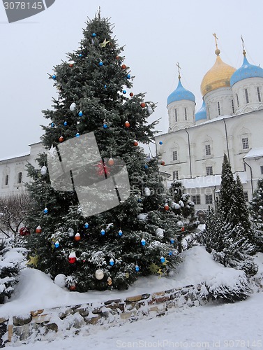 Image of Christmas tree
