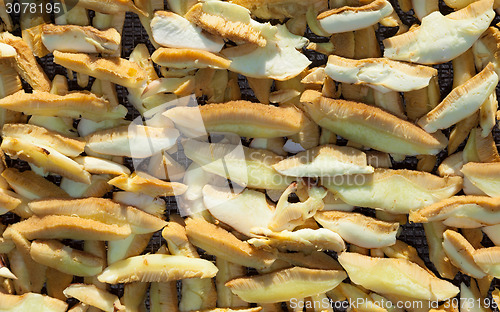 Image of Boletus mushrooms sliced and stacked for drying