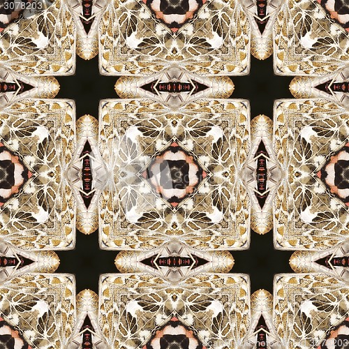 Image of Kaleidoscope