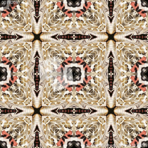 Image of Kaleidoscope