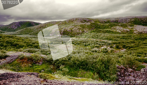 Image of polar hills Scandinavian tundra in summer