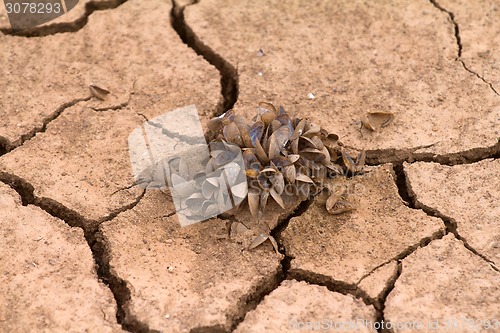 Image of sea drought change of  climate heat water