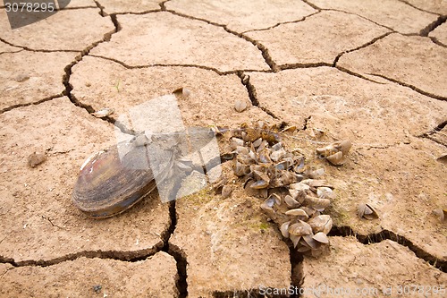 Image of sea drought change of  climate heat water