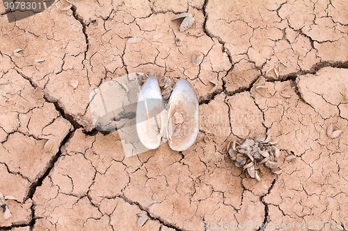 Image of sea drought change of  climate heat water