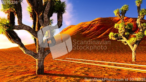 Image of Joshua trees and railroad