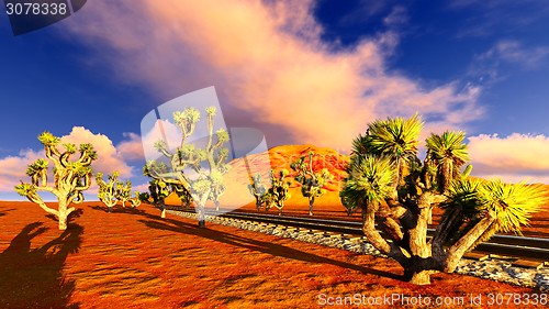 Image of Joshua trees and railroad