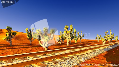 Image of Joshua trees and railroad